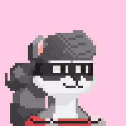 Raccoon Gang #5937
