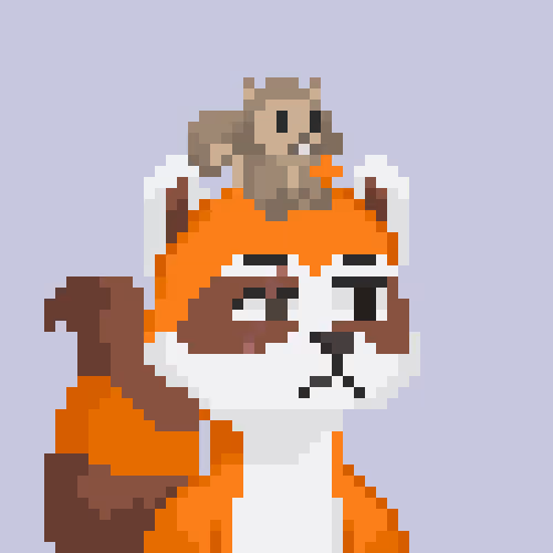 Raccoons Gang