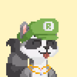 Raccoon Gang #3317