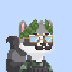 Raccoon Gang #3388