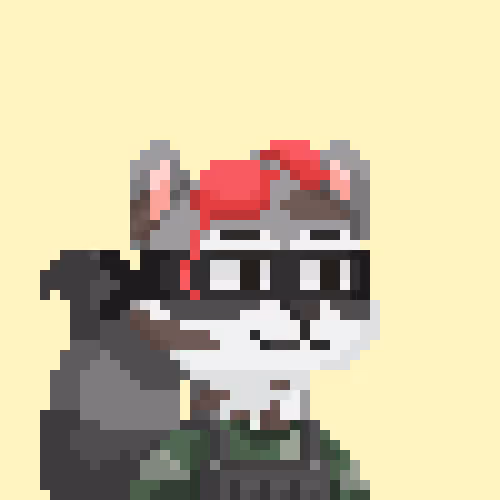 Raccoons Gang
