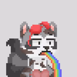 Raccoon Gang #3641