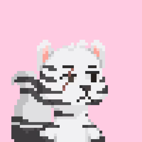 Raccoon Gang #9799