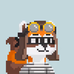 Raccoon Gang #7163