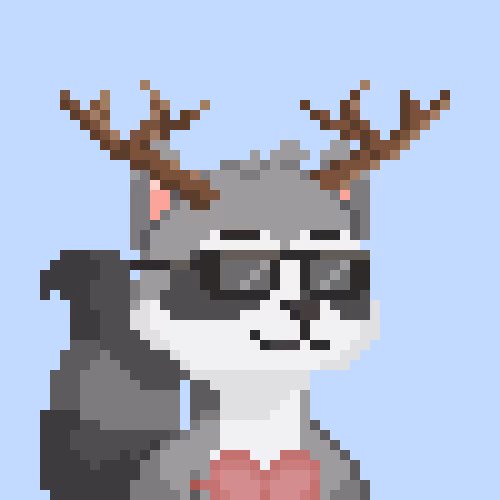 Raccoons Gang