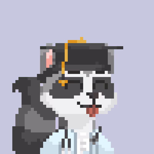 Raccoons Gang