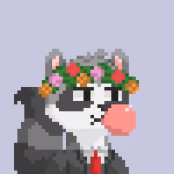 Raccoon Gang #6512