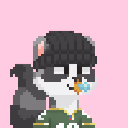 Raccoon Gang #9442