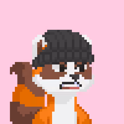 Raccoon Gang #8935