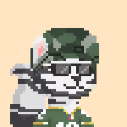 Raccoon Gang #2591
