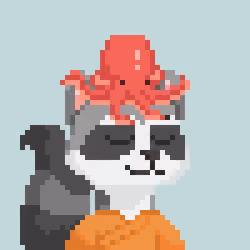 Raccoon Gang #9127