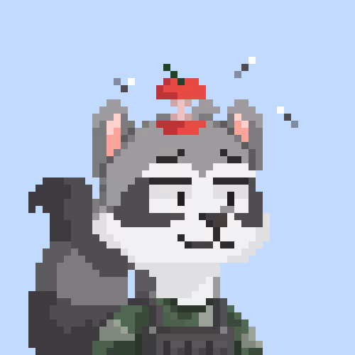 Raccoons Gang