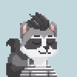 Raccoon Gang #9011
