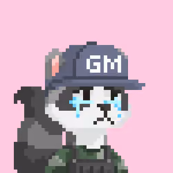 Raccoon Gang #6449