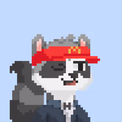 Raccoon Gang #9329
