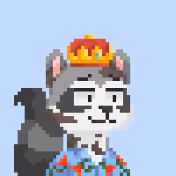 Raccoon Gang #9396
