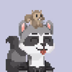 Raccoon Gang #2014