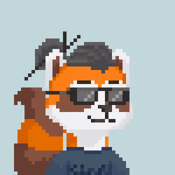 Raccoon Gang #2978