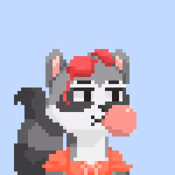 Raccoon Gang #9488