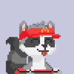 Raccoon Gang #9736