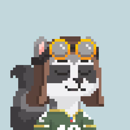 Raccoons Gang