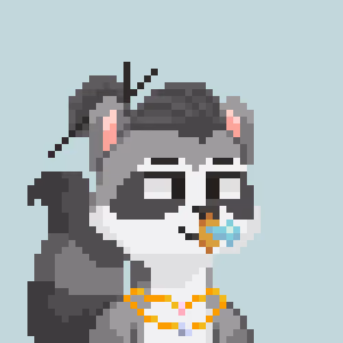 Raccoon Gang #8639