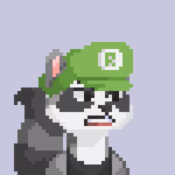 Raccoon Gang #6431