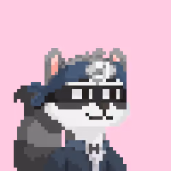 Raccoon Gang #7305
