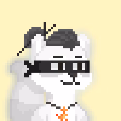 Raccoons Gang