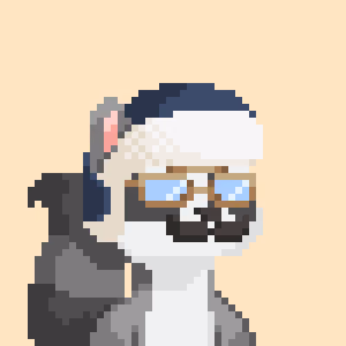 Raccoon Gang #8304