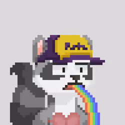 Raccoon Gang #5495