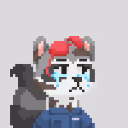 Raccoon Gang #3582