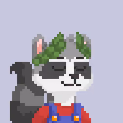 Raccoon Gang #8722