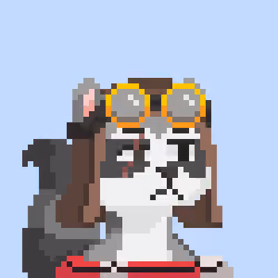 Raccoon Gang #2275