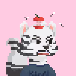 Raccoon Gang #6501