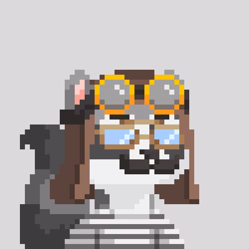 Raccoons Gang