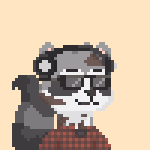 Raccoons Gang