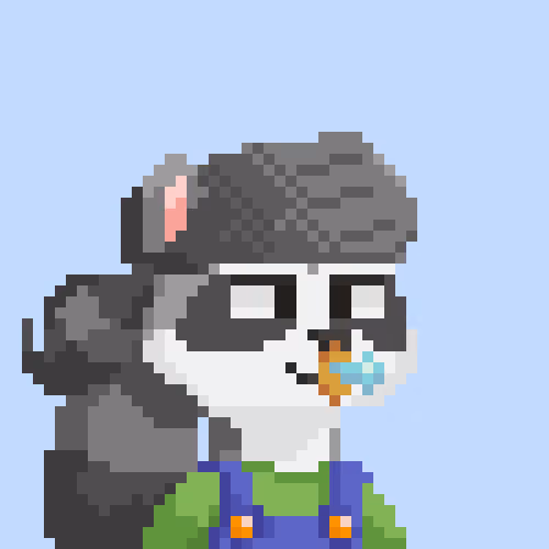 Raccoon Gang #5427