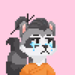 Raccoon Gang #8705