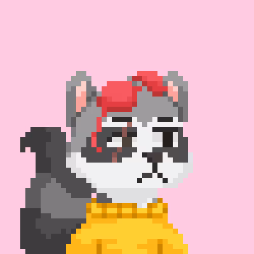 Raccoons Gang