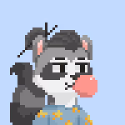 Raccoon Gang #6349