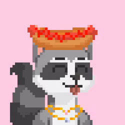 Raccoon Gang #8213