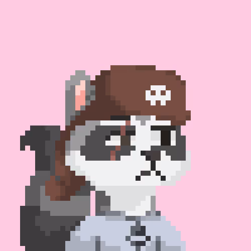 Raccoons Gang