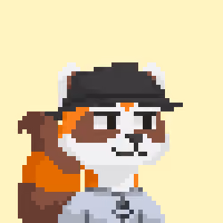 Raccoon Gang #3047