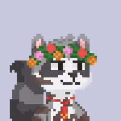 Raccoon Gang #2929