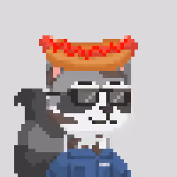 Raccoon Gang #1004