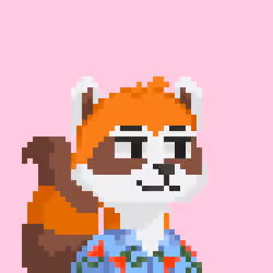Raccoon Gang #8759