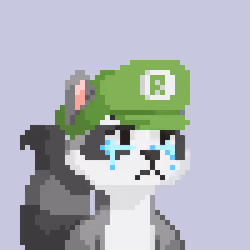 Raccoon Gang #4037