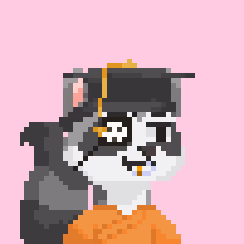 Raccoon Gang #2177