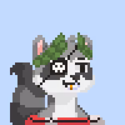 Raccoon Gang #3271